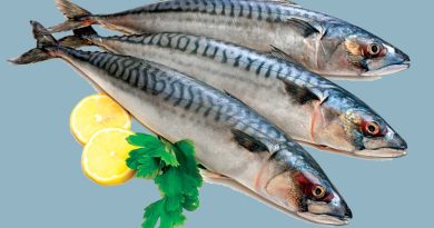 Ăn cá saba có lợi ích gì? Tổng hợp các món ăn cực ngon và bổ dưỡng từ cá saba 7