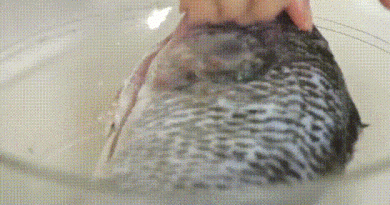Các cách khử mùi tanh của cá hiệu quả 4