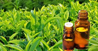 Chiết xuất trà xanh (Green Tea Extract) có công dụng gì trong mỹ phẩm? 3