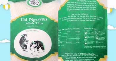 Thông tin về gạo Tài Nguyên Chợ Đào có tại Pgdphurieng.edu.vn 9