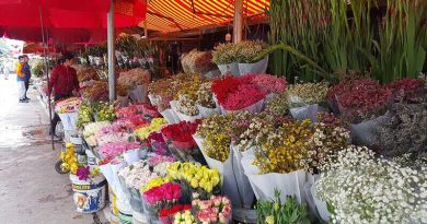 Tổng hợp 7 chợ hoa xuân cực đẹp, đủ mọi loại hoa ở TP.HCM 4