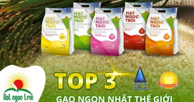 Top 9 thương hiệu gạo sạch hữu cơ được yêu thích nhất hiện nay 3