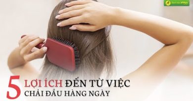 5 lợi ích đến từ việc chải đầu hàng ngày mà bạn chưa biết 4