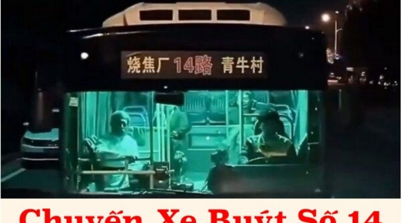 Xem Phim Chuyến Xe Số 14 (Trọn Bộ 1,2,3,4,5,Vietsub,Lồng Tiếng) 7