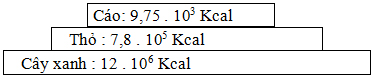 Đề thi thử Đại học năm 2013 2