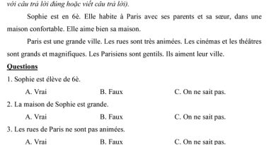 Đề kiểm tra tiếng Pháp học kì 1 lớp 6 3