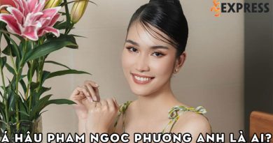 Á hậu Phạm Ngọc Phương Anh là ai? Á hậu 9x vừa tài năng vừa xinh đẹp 4