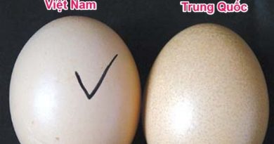 Cách phân biệt trứng gà thật và giả 4