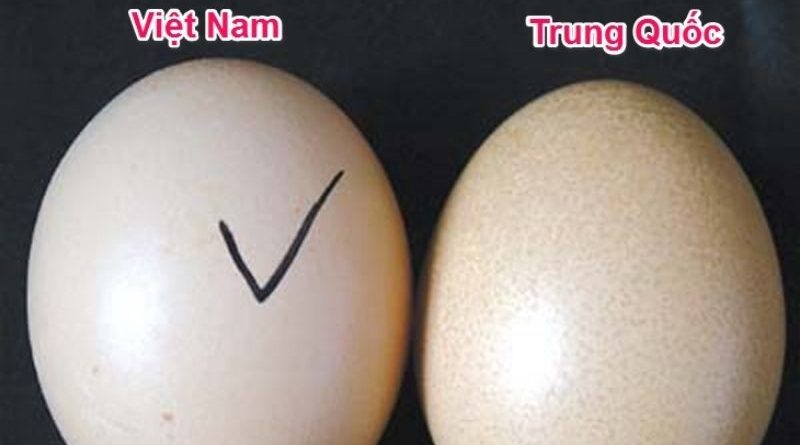 Cách phân biệt trứng gà thật và giả 1