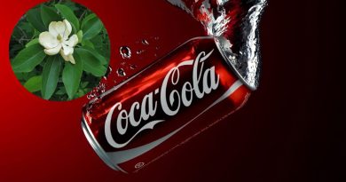 Coca không chỉ để uống mà còn dùng để chăm sóc cây trồng rất hiệu quả 4