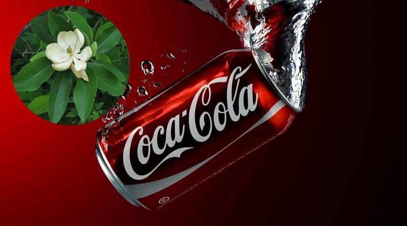 Coca không chỉ để uống mà còn dùng để chăm sóc cây trồng rất hiệu quả 1