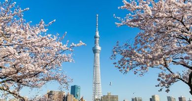 Danh sách 10 địa điểm du lịch hấp dẫn nhất tại Tokyo 3