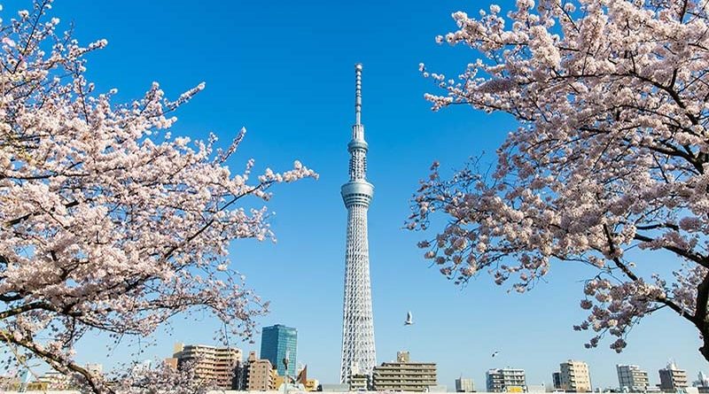 Danh sách 10 địa điểm du lịch hấp dẫn nhất tại Tokyo 1