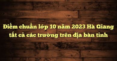 Điểm chuẩn lớp 10 năm 2023 Hà Giang của tất cả các trường trong tỉnh 3