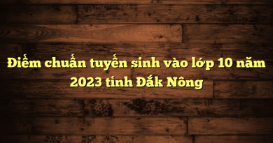 Chỉ tiêu tuyển sinh vào lớp 10 năm 2023 tỉnh Đắk Nông 11
