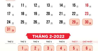 Còn bao nhiêu ngày nữa là đến Tết Nguyên Đán 2022? 2