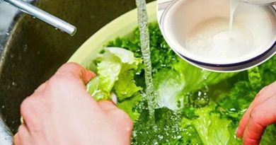 Rửa rau bằng nước muối không giúp loại bỏ vi khuẩn và thuốc trừ sâu 3