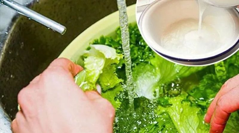 Rửa rau bằng nước muối không giúp loại bỏ vi khuẩn và thuốc trừ sâu 1