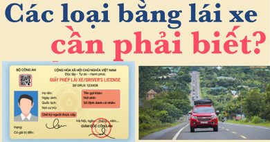 Thủ tục đổi giấy phép lái xe trực tiếp và trực tuyến mới nhất 2