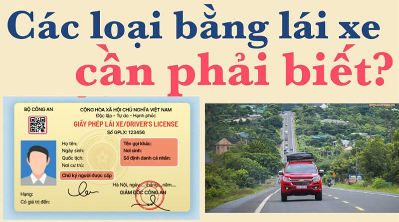 Thủ tục đổi giấy phép lái xe trực tiếp và trực tuyến mới nhất 1