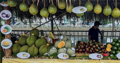 Sài Gòn tổ chức tuần lễ trái cây "Trên bến dưới thuyền" tại quận 8 6
