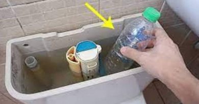 Đặt chai nhựa vào bể chứa nước của bồn cầu, lợi ích tuyệt vời, cả đàn ông và phụ nữ đều cần 3