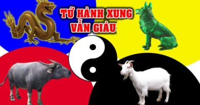 4 tuổi này tứ hành xung vẫn giàu, có tiền tỷ về tay 5