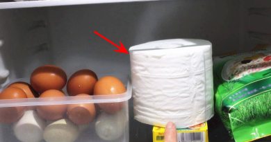 Đặt cuộn giấy vệ sinh trong tủ lạnh, nhận được lợi ích bất ngờ, bạn sẽ tiếc vì không biết sớm hơn 8