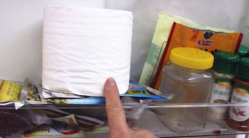 Đặt cuộn giấy vệ sinh trong tủ lạnh, nhận ngay lợi ích tuyệt vời 1