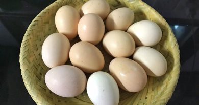 Mẹo bảo quản trứng không cần tủ lạnh, để cả tháng không sợ hỏng 5