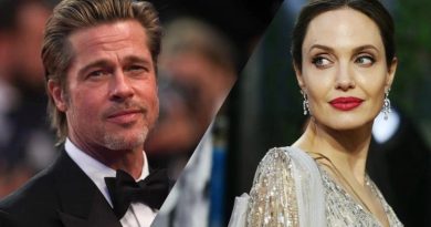 Tại sao, sau ly hôn người đàn bà nhân ái Angelina Jolie lại quyết đánh gục chồng, tình yêu đã biến thành thù hận? 3