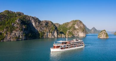 Top 5 combo du thuyền vịnh Hạ Long cao cấp có khuyến mãi cực tốt cho chuyến du lịch Thu – Đông 6