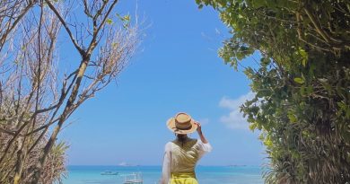 Hòn Tranh Phú Quý – Tọa độ check-in đẹp mê ly tại “Bali thu nhỏ của Việt Nam” 6