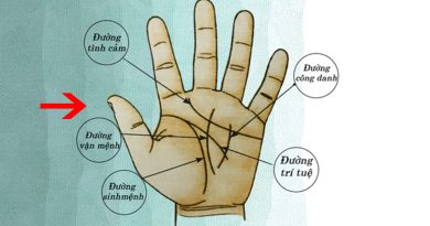 Lòng bàn tay có 4 dấu hiệu này báo hiệu vận số giàu sang, đặc biệt là số 2 3