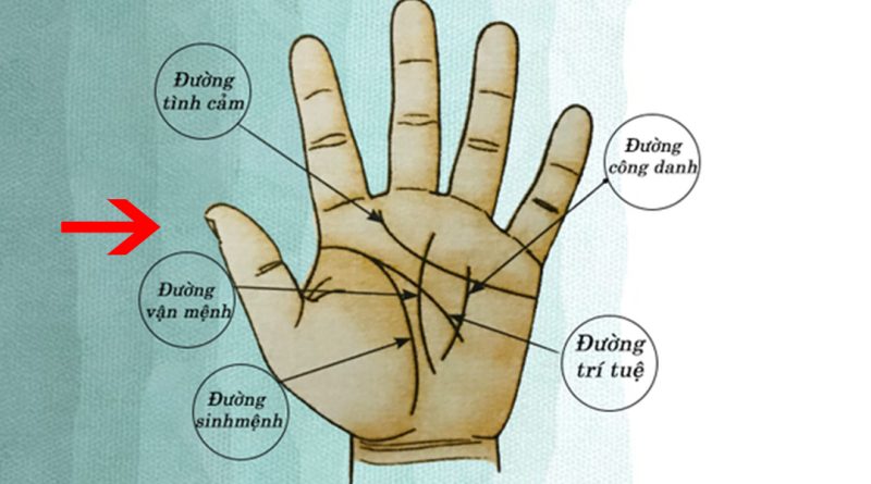 Lòng bàn tay có 4 dấu hiệu này báo hiệu vận số giàu sang, đặc biệt là số 2 1
