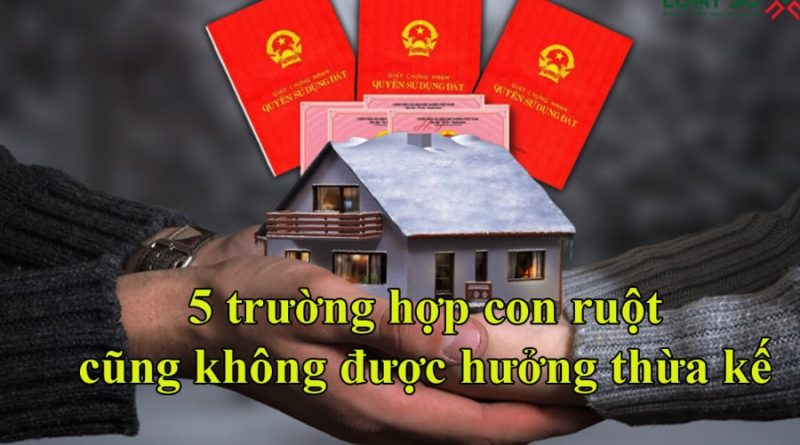 Năm 2023: Có 5 trường hợp là con ruột vẫn không được hưởng thừa kế, là những ai? 1