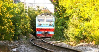 TP.HCM sẽ có 14 km “Đường tàu – Đường hoa” dọc tuyến đường sắt Bắc – Nam 7