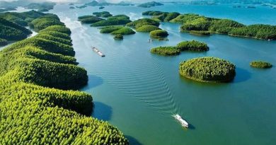 Hồ Thác Bà – Điểm du lịch sinh thái đẹp nên thơ và kỳ vĩ ở Yên Bái 33