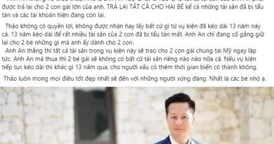 Xuất hiện tại phiên tòa xử tranh chấp của chồng với vợ cũ, Phan Như Thảo thể hiện quan điểm thế nào? 3