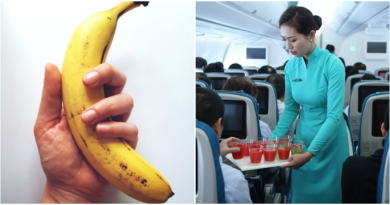 Tiếp viên hàng không nữ rất hay mang một quả chuối lên máy bay: Họ mang lên để làm gì? 2