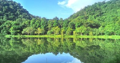 Vườn quốc gia Cúc Phương thắng giải Vườn quốc gia hàng đầu châu Á 2023 5