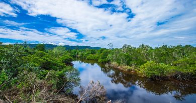 Vườn quốc gia Phú Quốc – điểm trekking ấn tượng vào mùa khô ở đảo ngọc 9