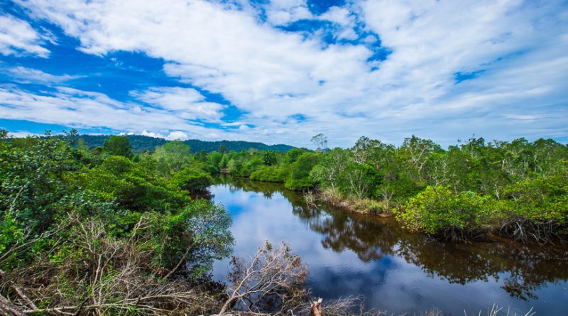 Vườn quốc gia Phú Quốc – điểm trekking ấn tượng vào mùa khô ở đảo ngọc 3