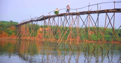 Cầu tre Cẩm Đồng – vẻ đẹp mộc mạc nơi đồng quê Quảng Nam 6