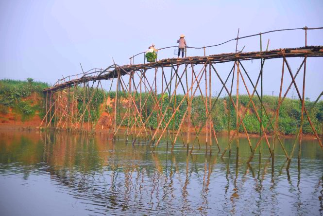 Cầu tre Cẩm Đồng – vẻ đẹp mộc mạc nơi đồng quê Quảng Nam 3