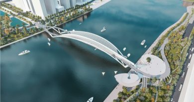 Sài Gòn chốt thiết kế cầu đi bộ vượt sông hình lá dừa nước 6