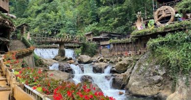 Cảm nhận sắc xuân núi rừng thanh khiết với tour Tết Hà Giang – Sapa 5N4Đ 17