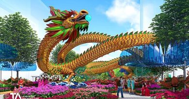 Đường hoa Nguyễn Huệ 2024 nổi bật với con rồng dài 100m 7