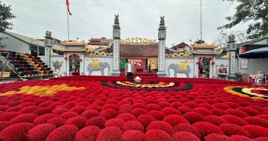 Làng hương Quảng Phú Cầu ở Hà Nội được ca ngợi trên truyền thông Bỉ 5