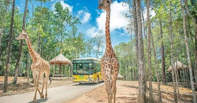 Vinpearl Safari Phú Quốc – Vườn thú bán hoang dã đầu tiên tại Việt Nam 21